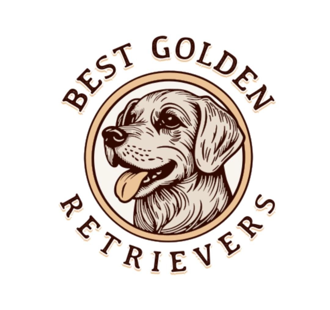Best Golden Retrievers